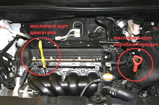 Фото ручек щупов